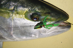 kingfish on a slow jig